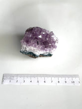 Load image into Gallery viewer, Amethyst Cluster