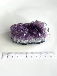 Amethyst Cluster