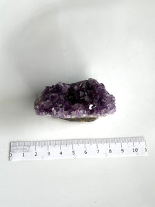 Amethyst Cluster