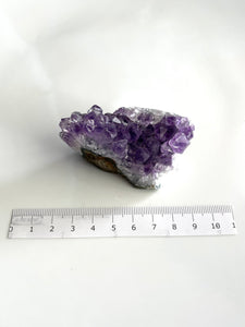 Amethyst Cluster