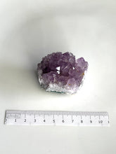 Load image into Gallery viewer, Amethyst Cluster