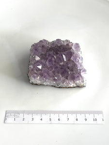 Amethyst Cluster